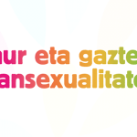 Haur eta gazteen transexualitateari buruzko prestakuntza profesionalentzat